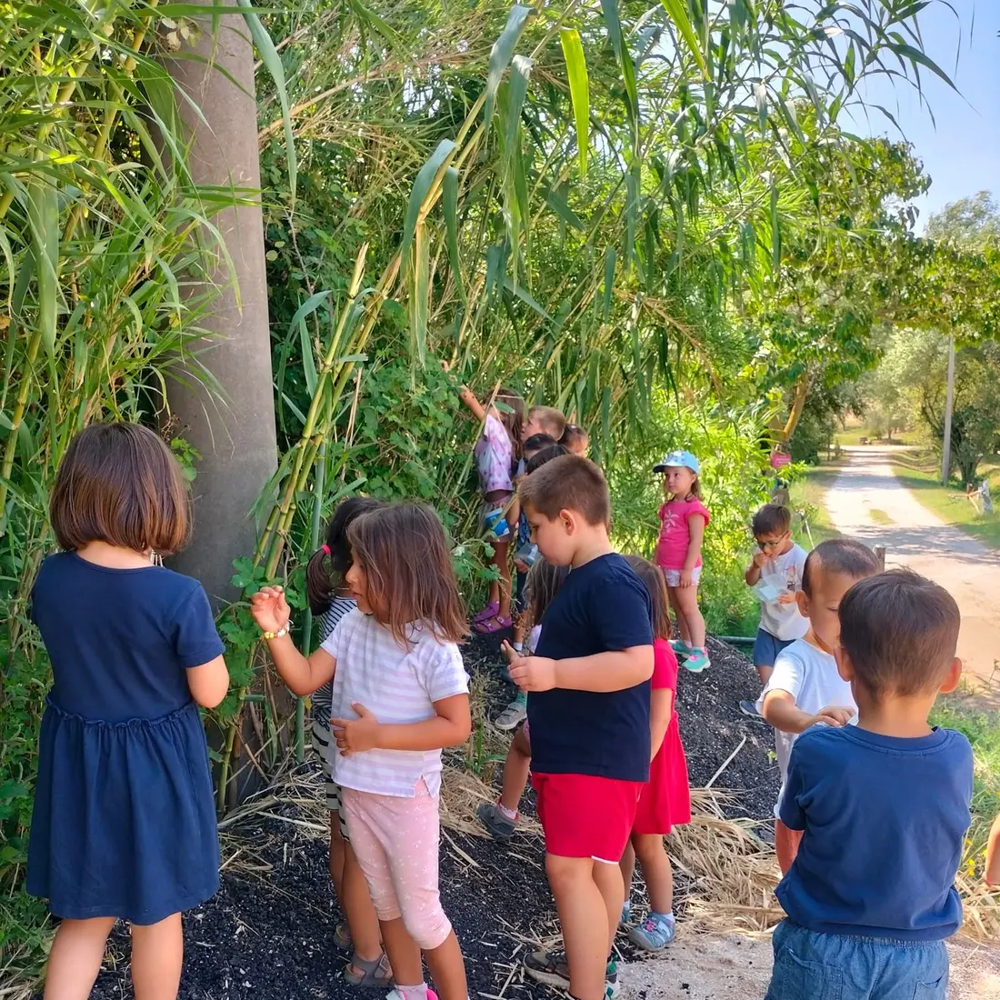 Bambini che giocano tra gli alberi
