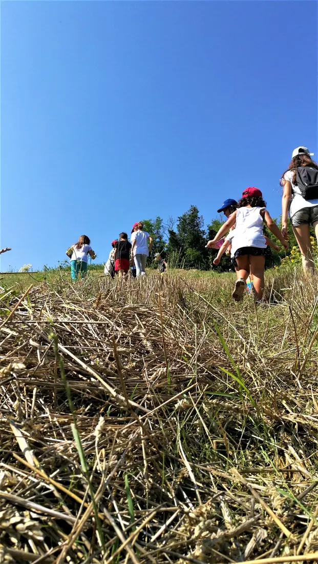 Un prato dove i bambini stanno all'aperto