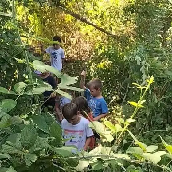 Un bambino tra la vegetazione